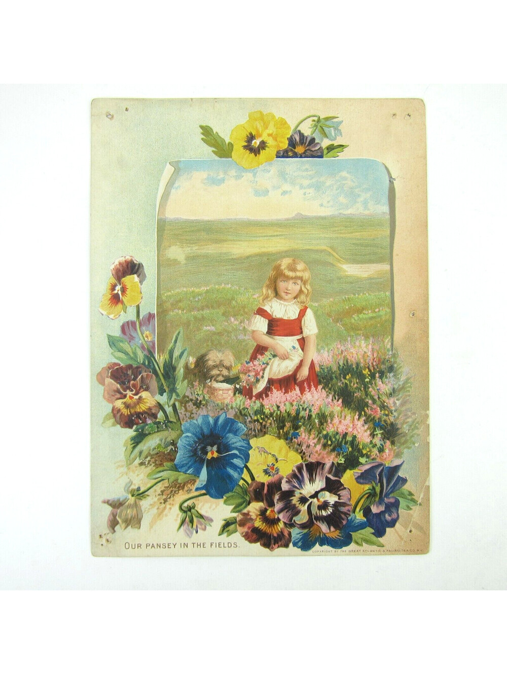 Victorian Trade Card LARGE A & P Baking Powder Great Atlantic Pacific Tea Co NY